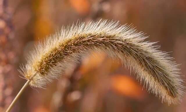 Czy pękniętą głowicę można naprawić?