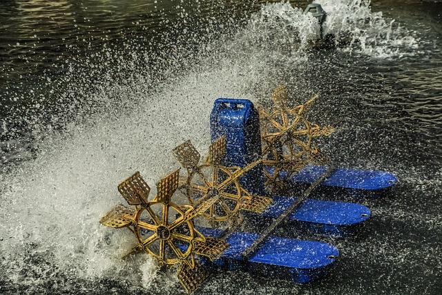 Co najpierw aerator czy wertykulator? Co najpierw aerator czy wertykulator?