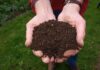 Czy kompost z trawy zakwasza glebę?