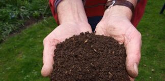 Czy kompost z trawy zakwasza glebę?