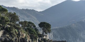 Ile kosztuje szlif głowicy? Ile kosztuje szlif głowicy?