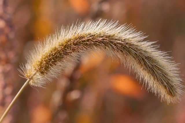 Czy da się naprawić pękniętą głowicę? Czy da się naprawić pękniętą głowicę?