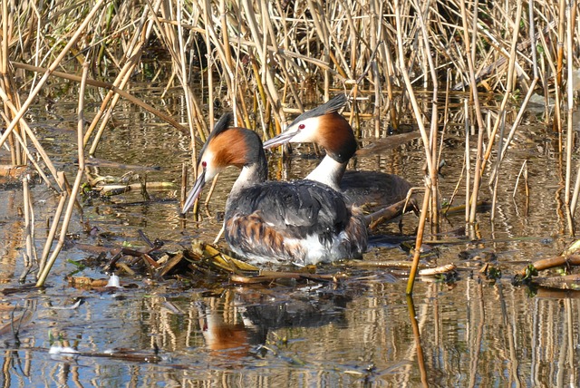 Ile może być gniazd odkurzacza centralnego? Ile może być gniazd odkurzacza centralnego?